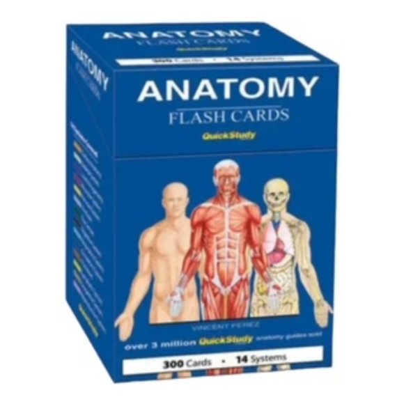 VINCENT PAREZ Other - Anatomy (Quickstudy (Flash Cards)) - Cards By BarCharts, Inc.